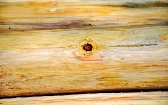 Pourquoi l'été est la saison idéale pour un diagnostic mérule ?