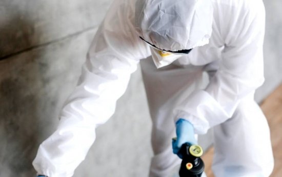 Un professionnel intervient dans un appartement suite à une infestation de punaises de lit